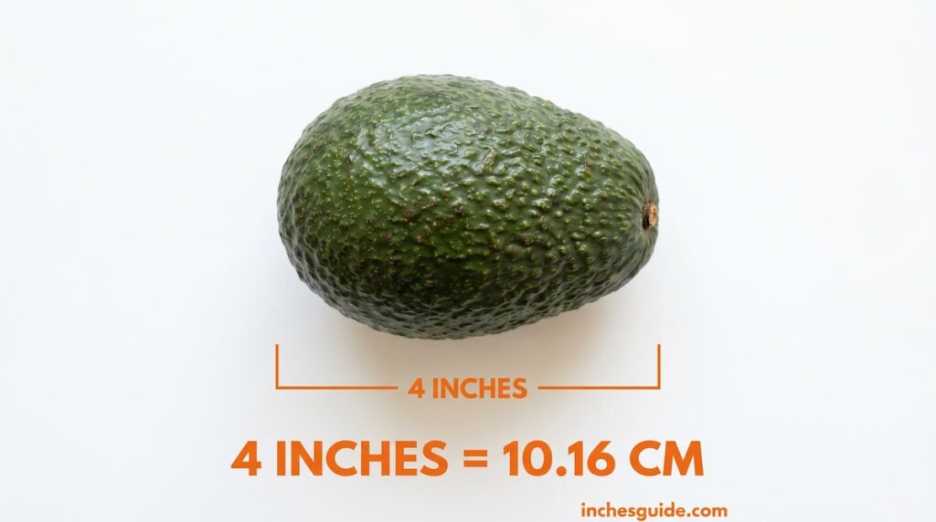 A Medium Avocado