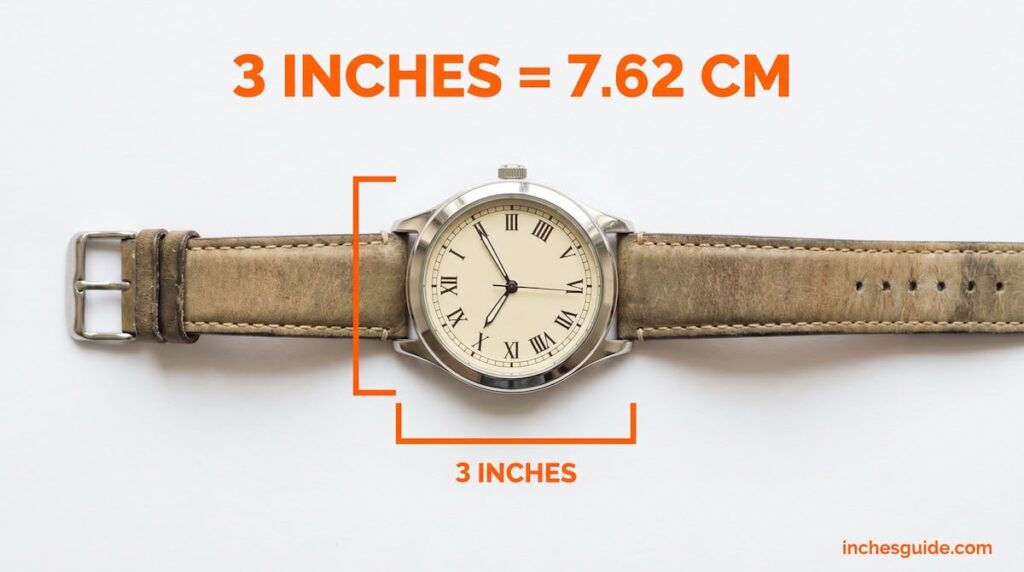 Large Dial Wristwatch Case