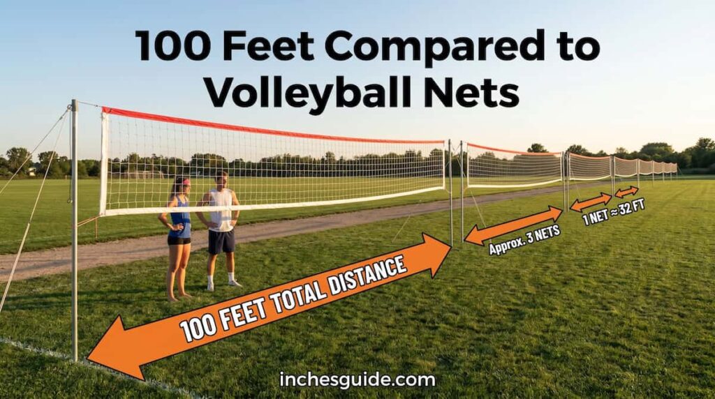 Volleyball Net